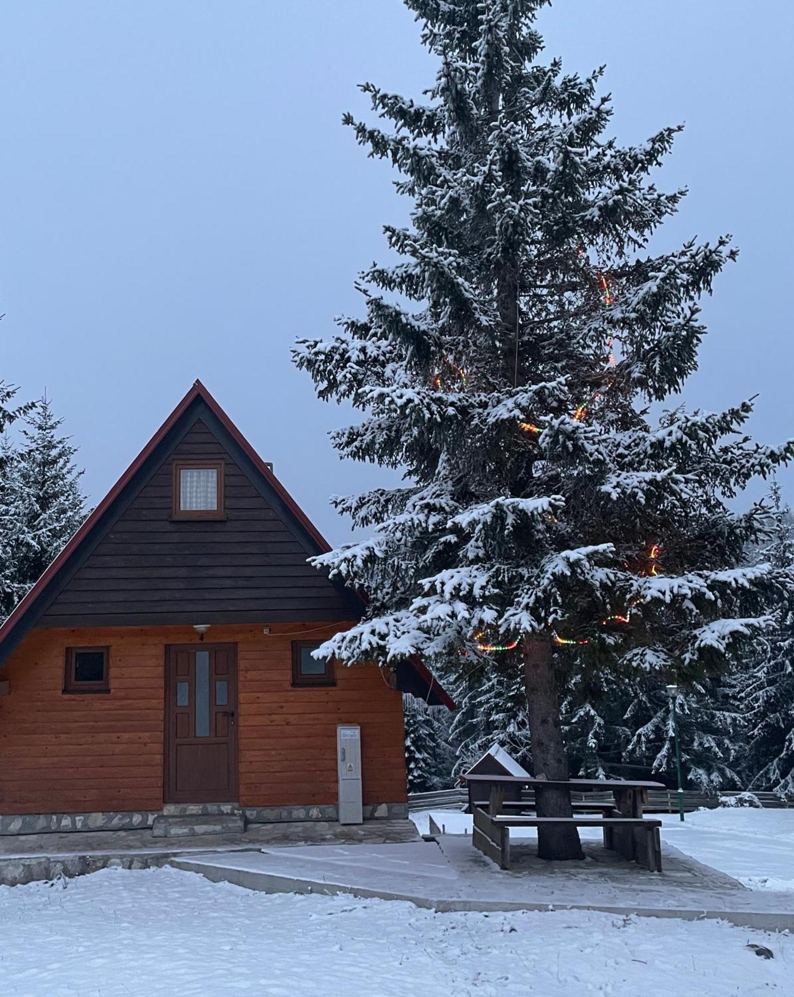 Bungalows Krstajić Žabljak Exterior foto